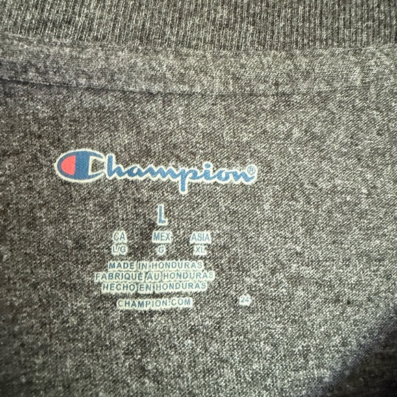 2 for $10
sale: Champion crew neck Tennessee volunteers football t-shirt - L - Picture 2 of 3